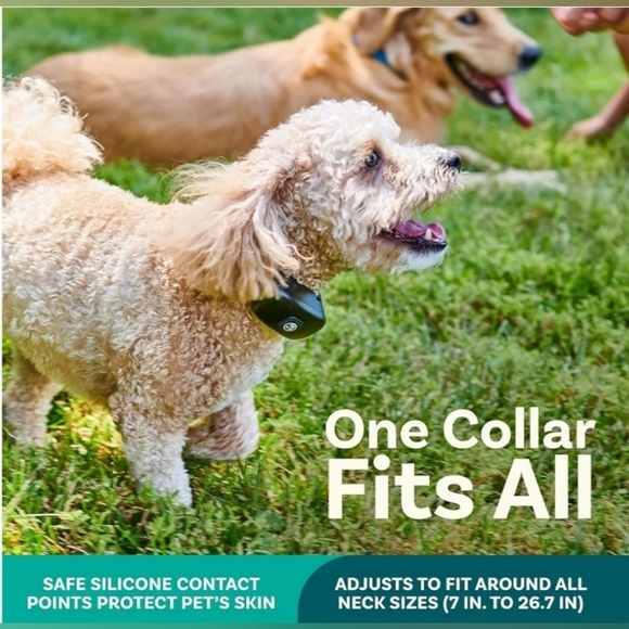 Wireless Dog Fence System & Remote Training Collar - Picture 4 of 10